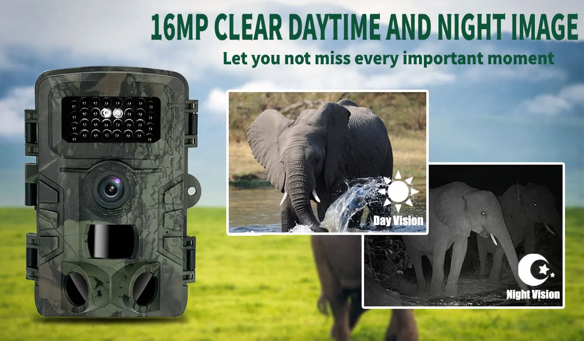 Kamera leśna PR700 z noktowizo – Trail Camera Infrared recenzja i cena